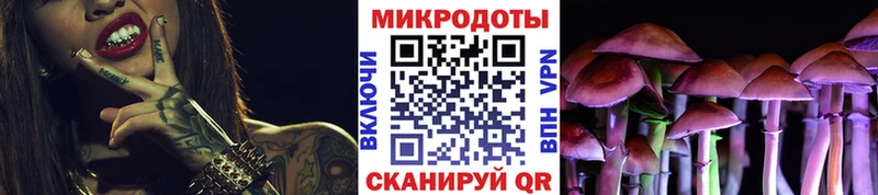 Псилоцибиновые грибы Cubensis  Суоярви 